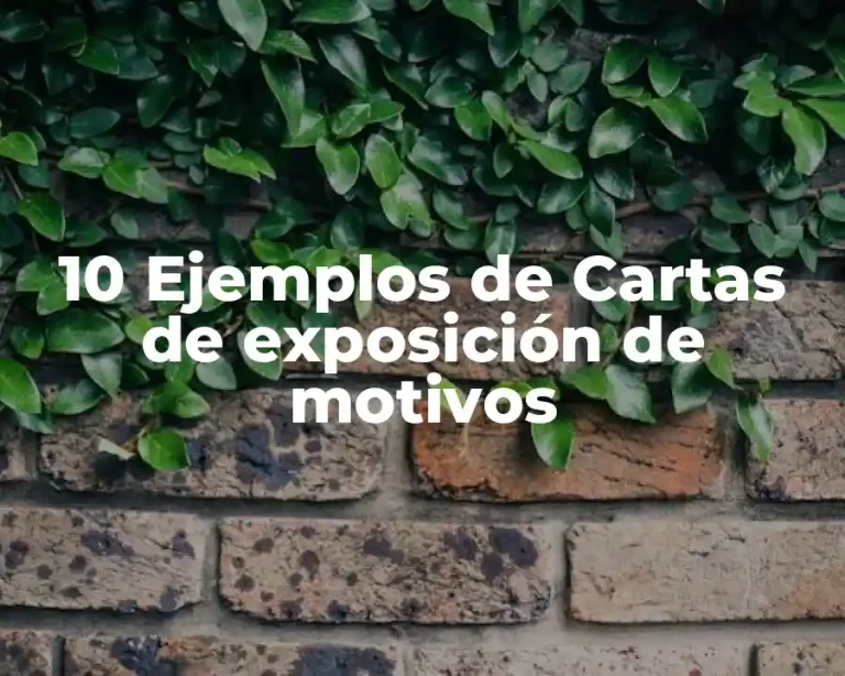 10 Ejemplos de Cartas de exposición de motivos