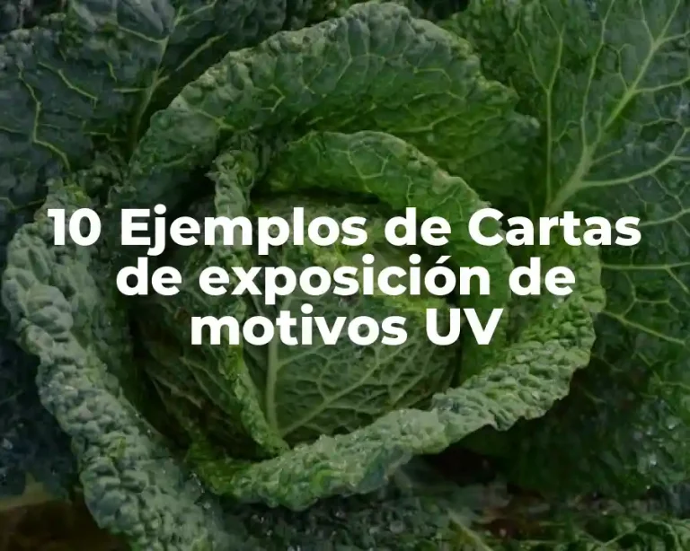 10 Ejemplos de Cartas de exposición de motivos UV