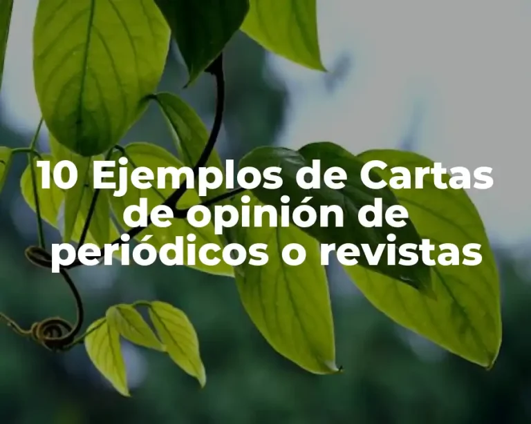 10 Ejemplos de Cartas de opinión de periódicos o revistas