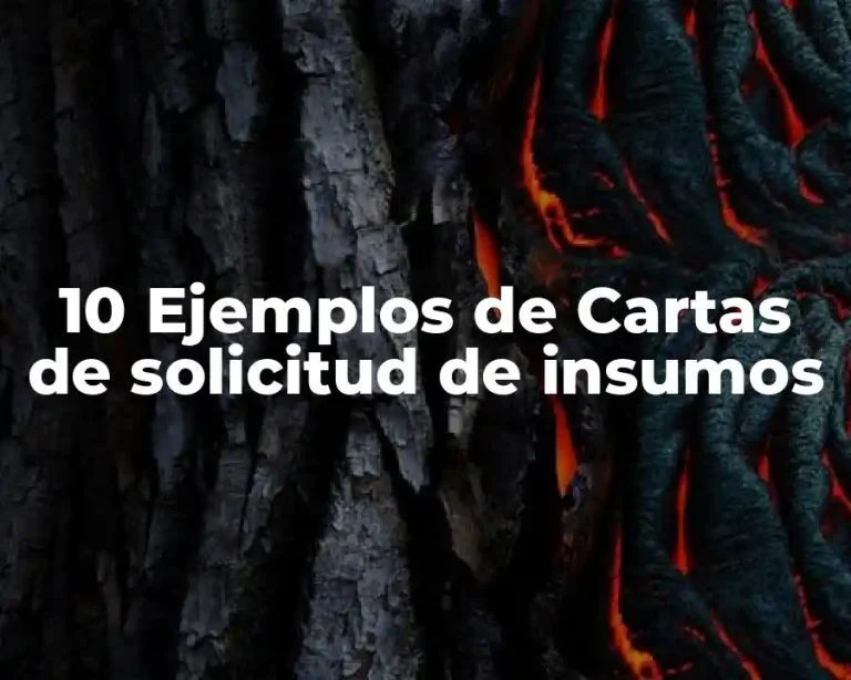 10 Ejemplos de Cartas de solicitud de insumos