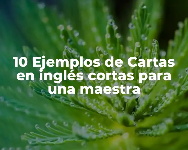 10 Ejemplos de Cartas en inglés cortas para una maestra