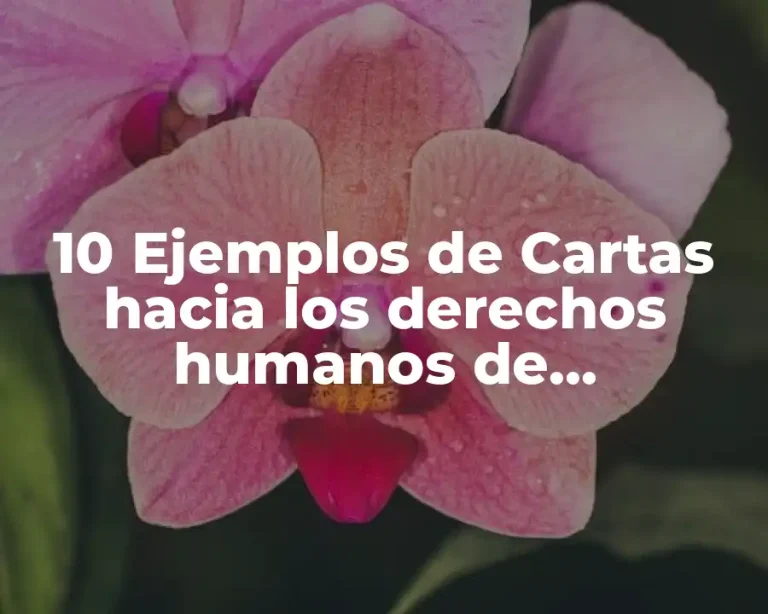 10 Ejemplos de Cartas hacia los derechos humanos de estudiantes