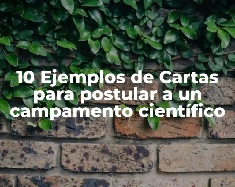 10 Ejemplos de Cartas para postular a un campamento científico