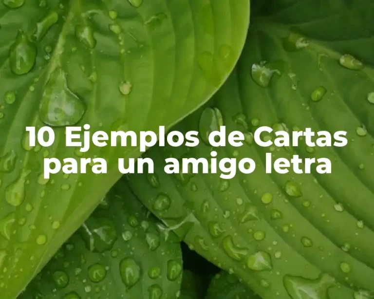 10 Ejemplos de Cartas para un amigo letra