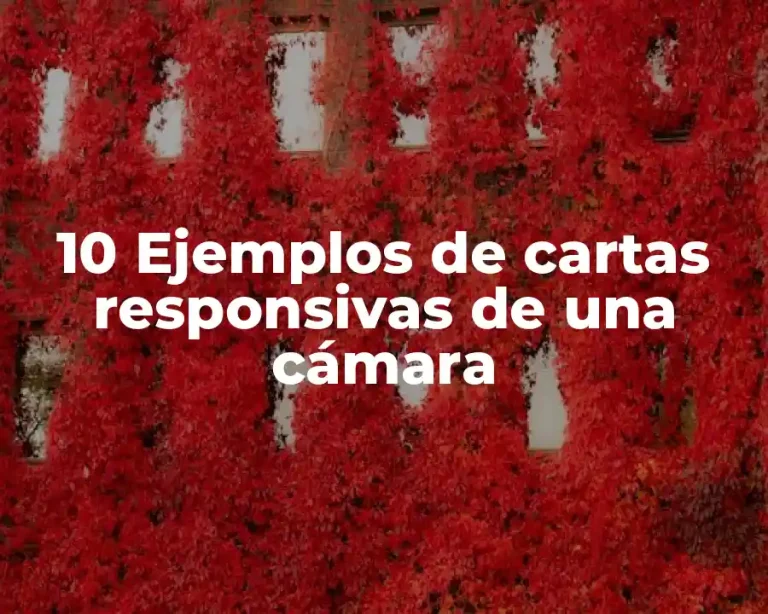 10 Ejemplos de cartas responsivas de una cámara