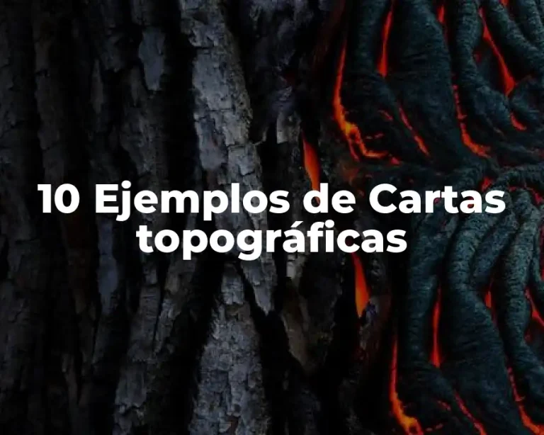 10 Ejemplos de Cartas topográficas