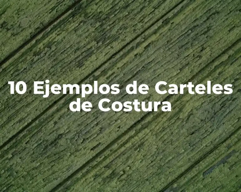 10 Ejemplos de Carteles de Costura