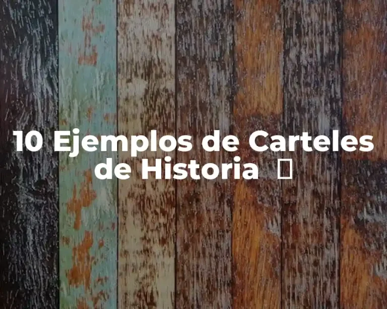 10 Ejemplos de Carteles de Historia  ️