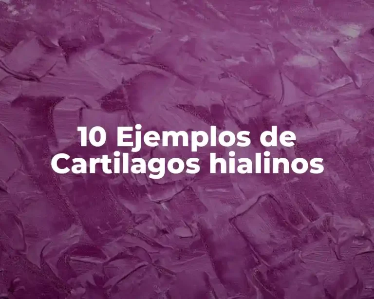 10 Ejemplos de Cartilagos hialinos
