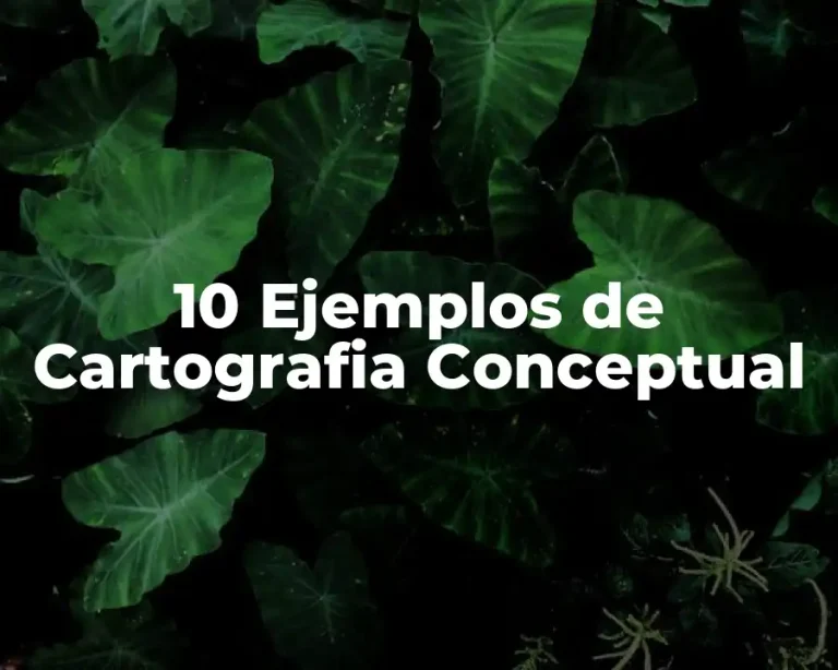 10 Ejemplos de Cartografia Conceptual