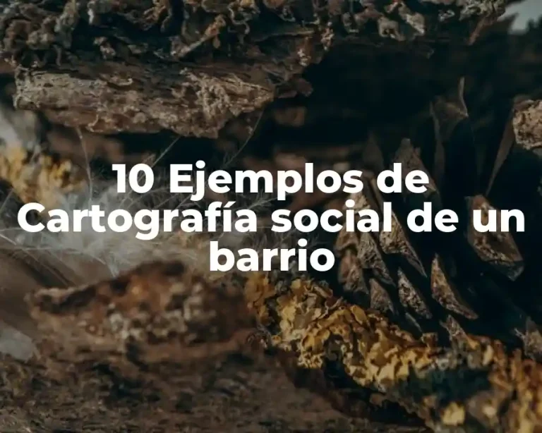 10 Ejemplos de Cartografía social de un barrio