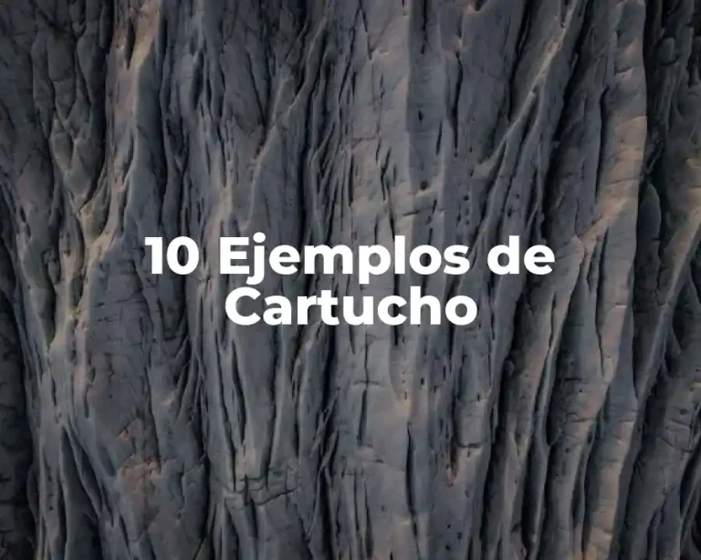 10 Ejemplos de Cartucho