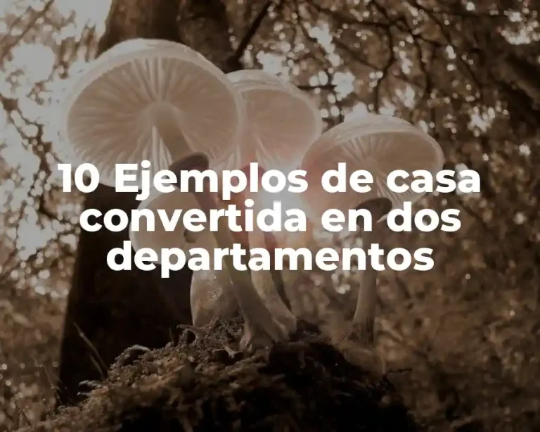 10 Ejemplos de casa convertida en dos departamentos