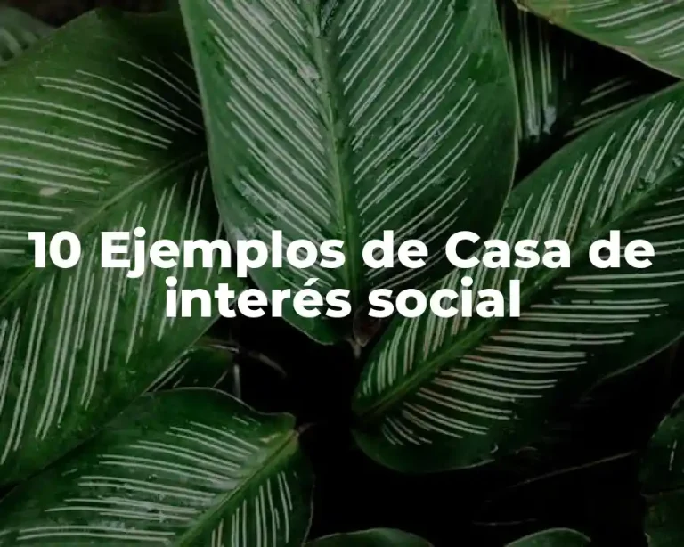 10 Ejemplos de Casa de interés social