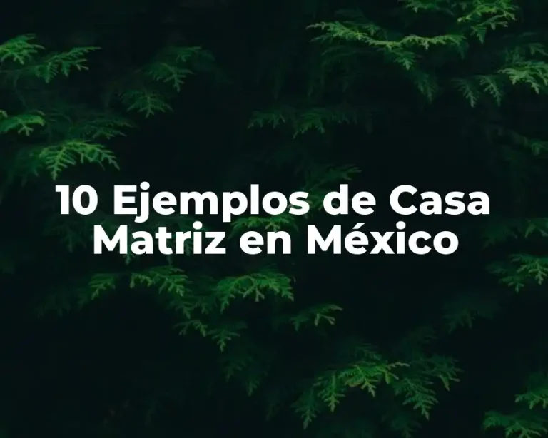 10 Ejemplos de Casa Matriz en México