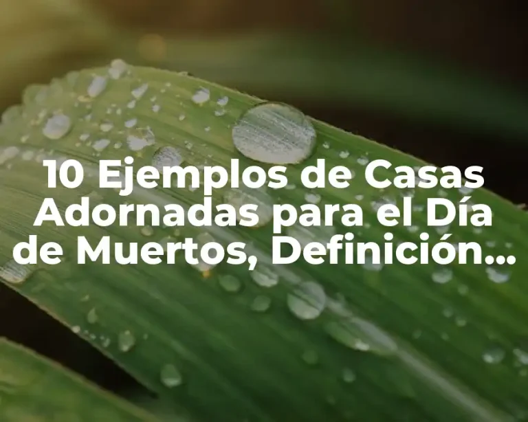 10 Ejemplos de Casas Adornadas para el Día de Muertos, Definición, Diferencias y para que sirve