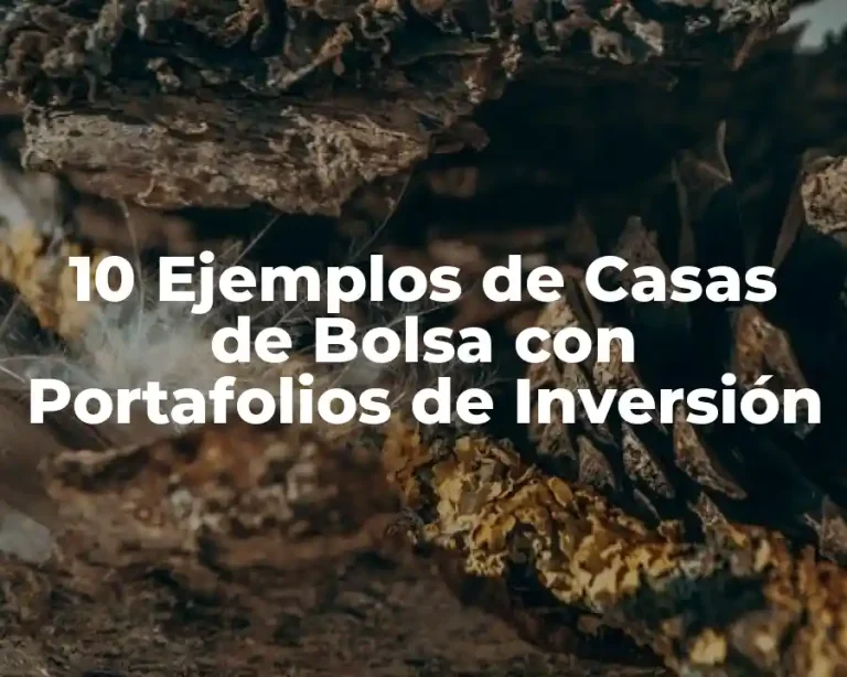 10 Ejemplos de Casas de Bolsa con Portafolios de Inversión