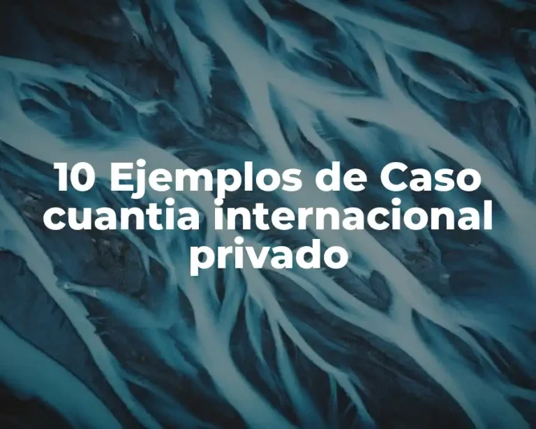 10 Ejemplos de Caso cuantia internacional privado