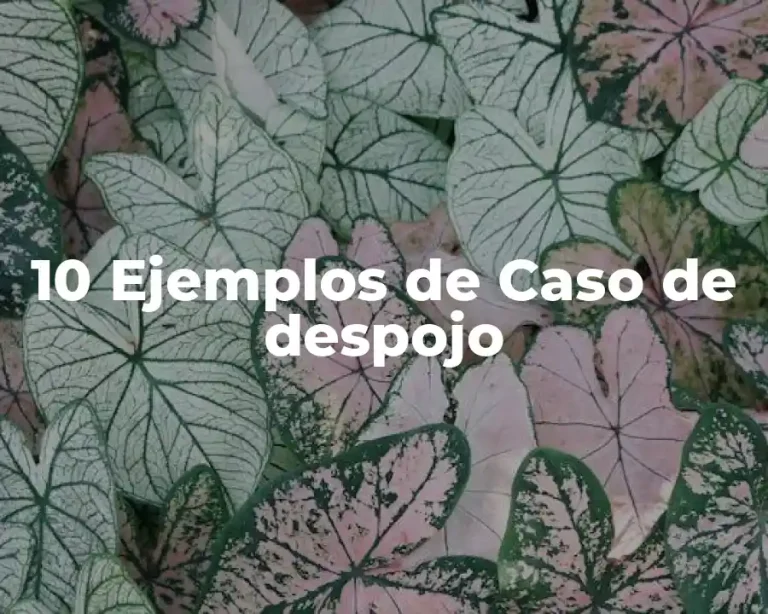 10 Ejemplos de Caso de despojo