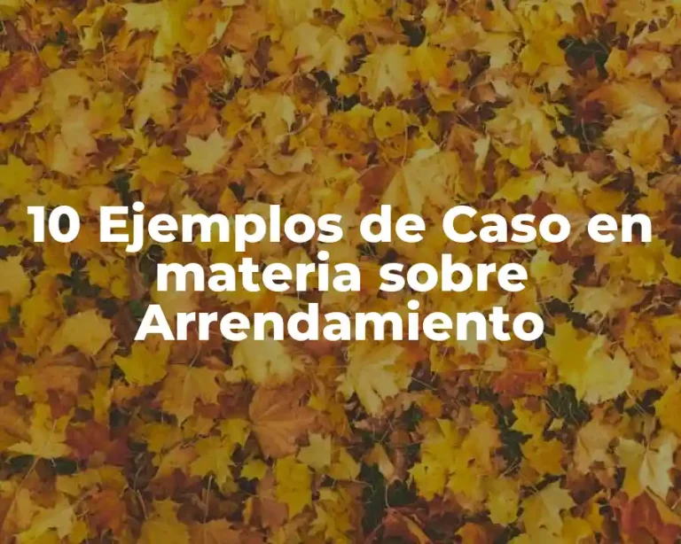 10 Ejemplos de Caso en materia sobre Arrendamiento