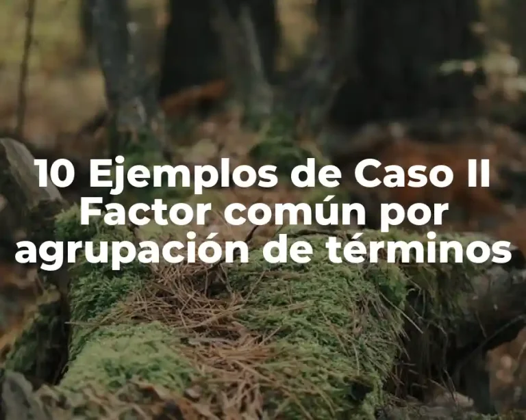 10 Ejemplos de Caso II Factor común por agrupación de términos