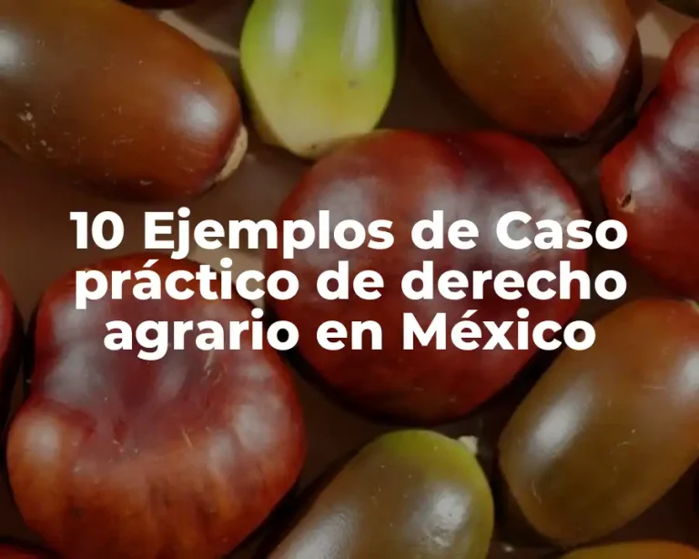 10 Ejemplos de Caso práctico de derecho agrario en México