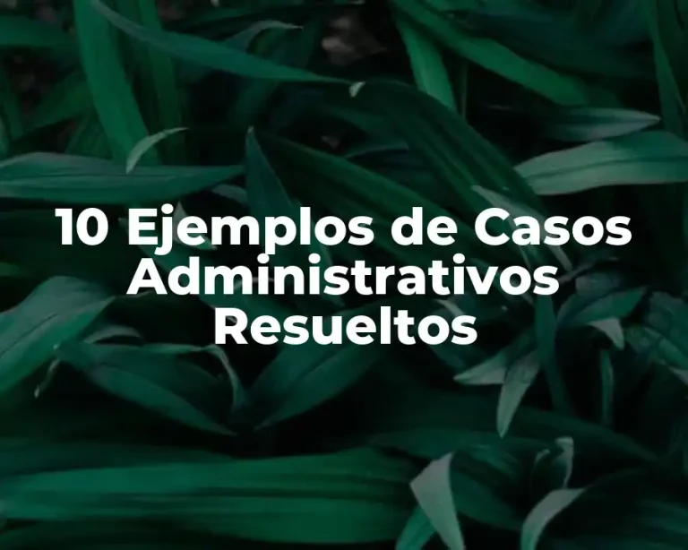 10 Ejemplos de Casos Administrativos Resueltos