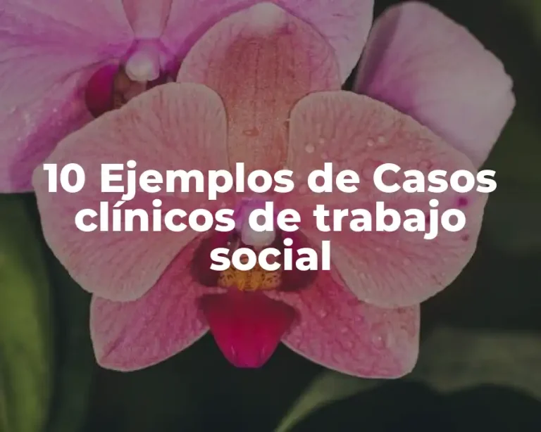 10 Ejemplos de Casos clínicos de trabajo social
