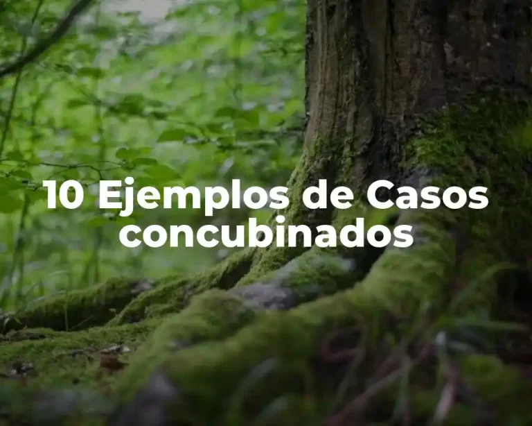 10 Ejemplos de Casos concubinados