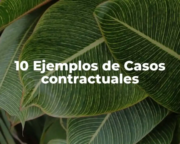 10 Ejemplos de Casos contractuales