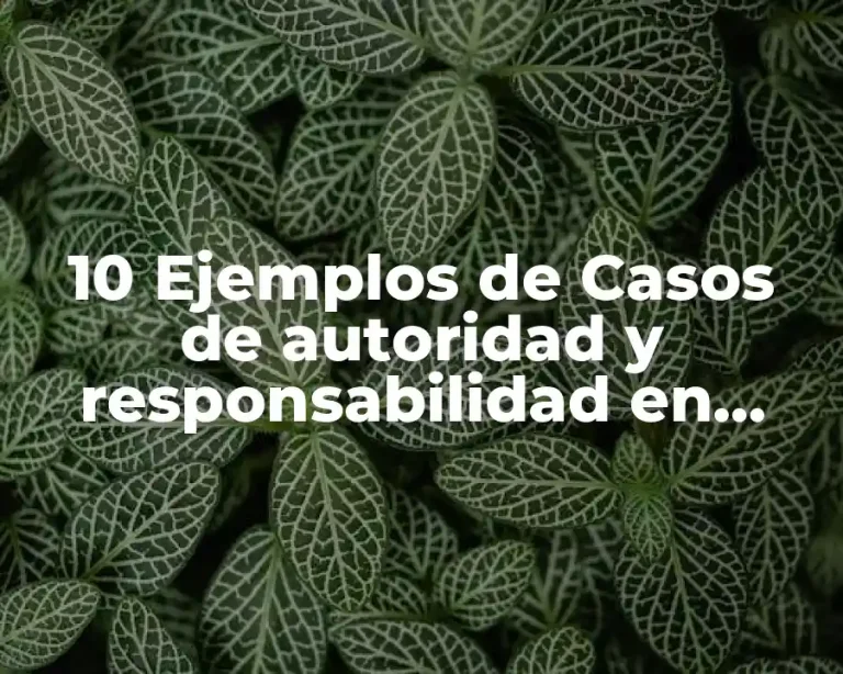10 Ejemplos de Casos de autoridad y responsabilidad en administración