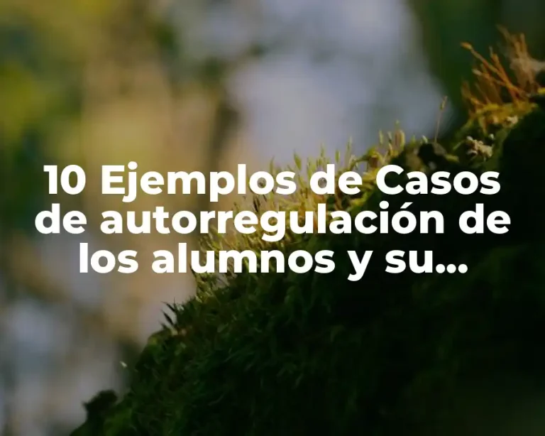 10 Ejemplos de Casos de autorregulación de los alumnos y su profesor