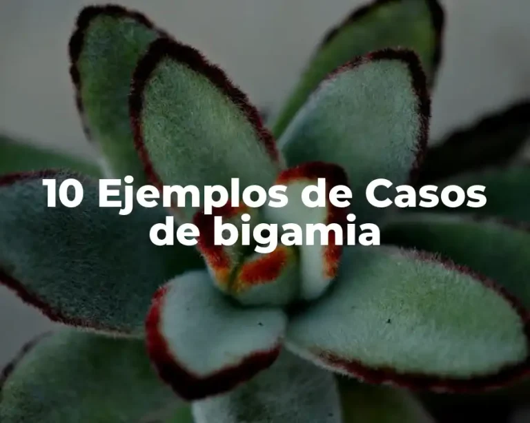 10 Ejemplos de Casos de bigamia