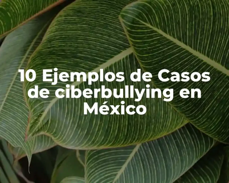 10 Ejemplos de Casos de ciberbullying en México