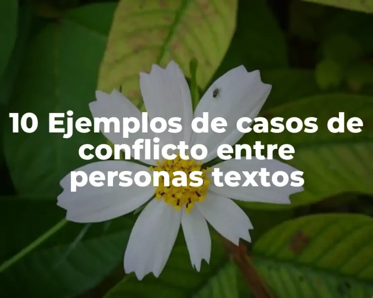 10 Ejemplos de casos de conflicto entre personas textos