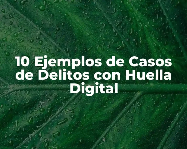 10 Ejemplos de Casos de Delitos con Huella Digital