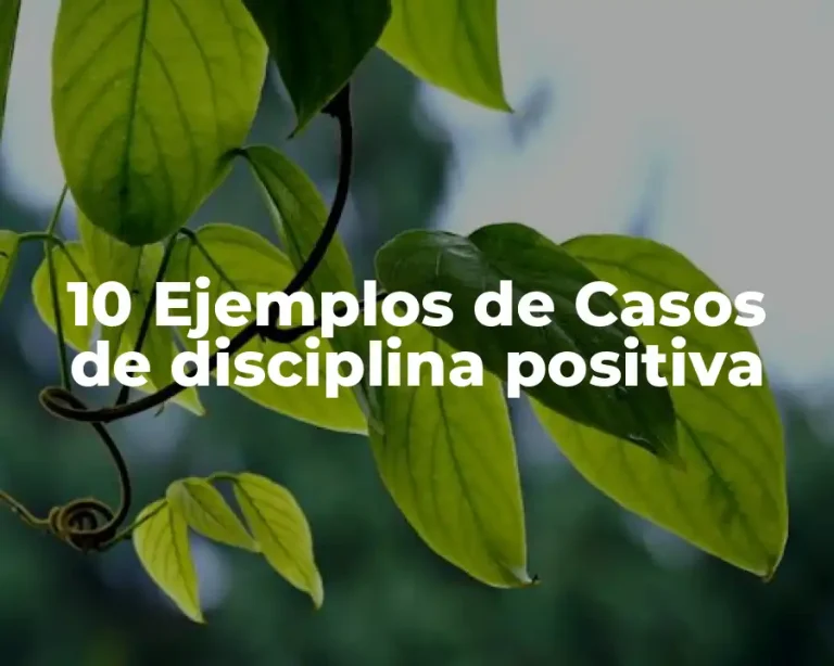 10 Ejemplos de Casos de disciplina positiva