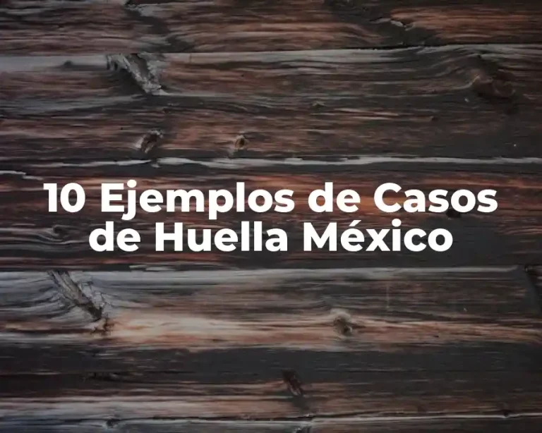 10 Ejemplos de Casos de Huella México