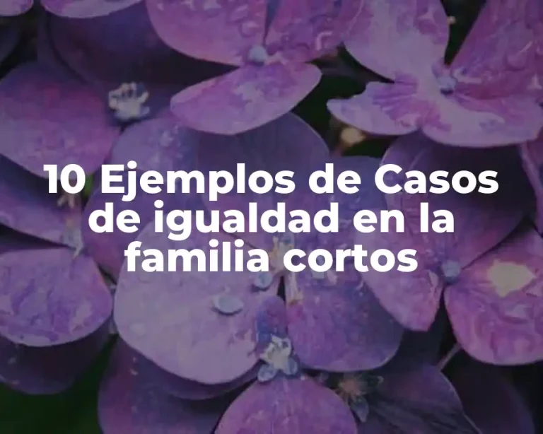 10 Ejemplos de Casos de igualdad en la familia cortos