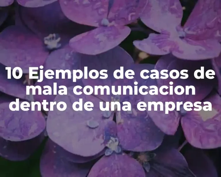 10 Ejemplos de casos de mala comunicacion dentro de una empresa