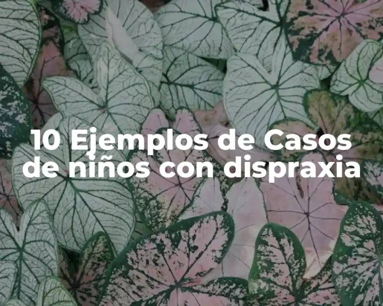 10 Ejemplos de Casos de niños con dispraxia