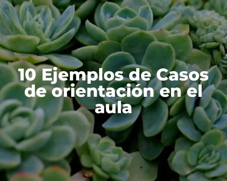 10 Ejemplos de Casos de orientación en el aula