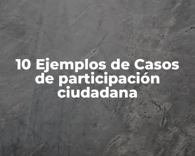 10 Ejemplos de Casos de participación ciudadana