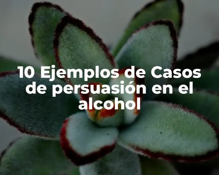 10 Ejemplos de Casos de persuasión en el alcohol