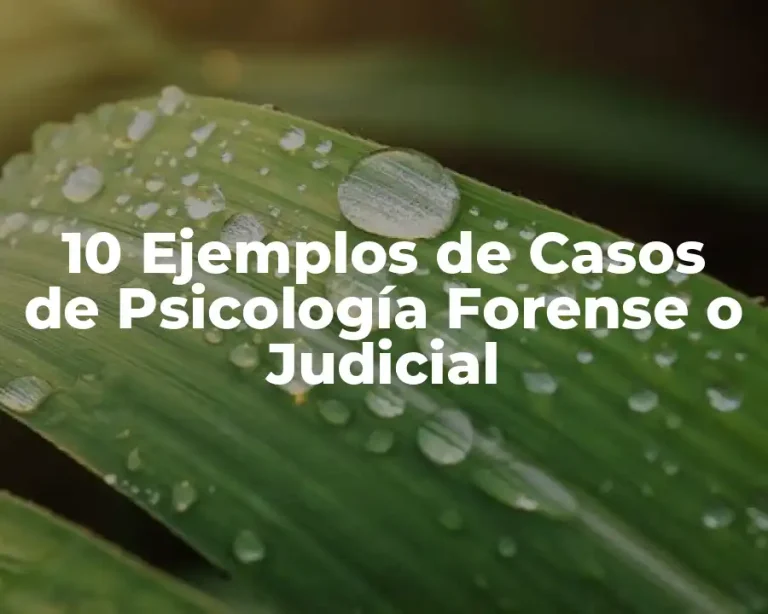 10 Ejemplos de Casos de Psicología Forense o Judicial
