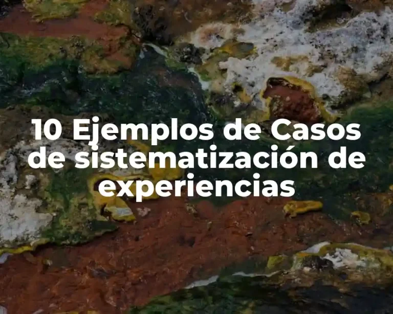 10 Ejemplos de Casos de sistematización de experiencias