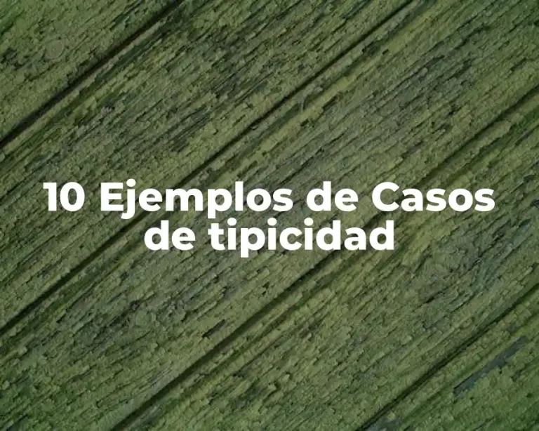 10 Ejemplos de Casos de tipicidad