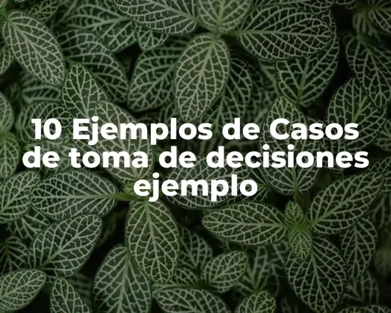 10 Ejemplos de Casos de toma de decisiones ejemplo