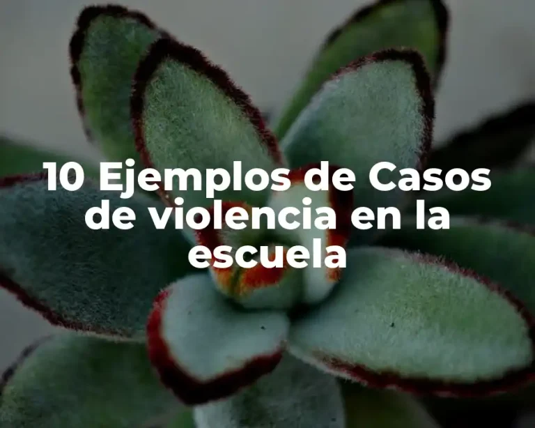 10 Ejemplos de Casos de violencia en la escuela