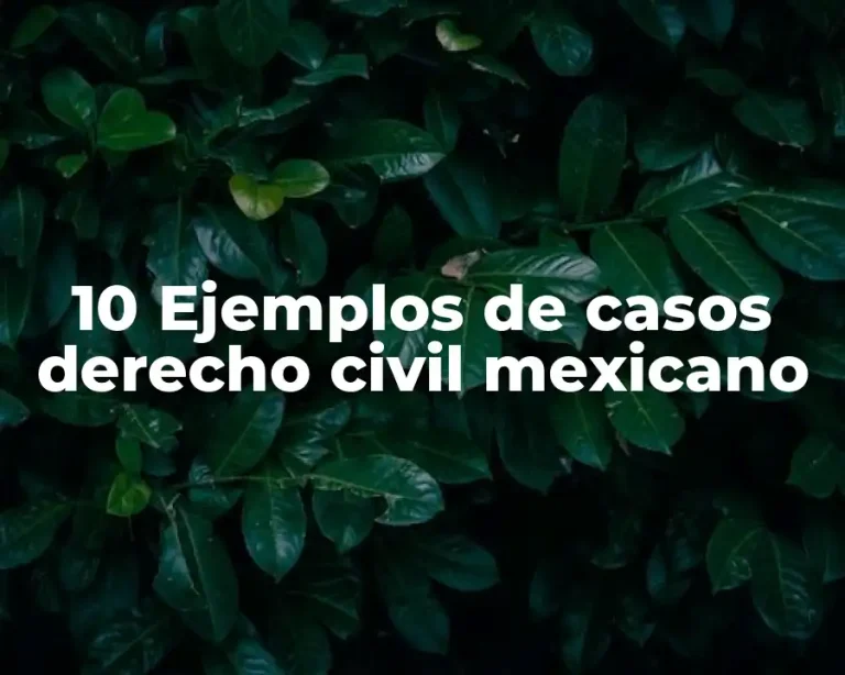 10 Ejemplos de casos derecho civil mexicano